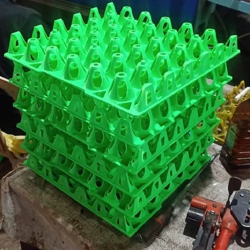 Plastic Egg Tray