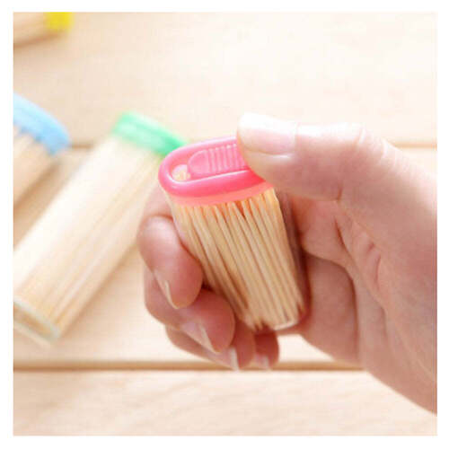 BAMBOO TOOTHPICKS WITH DISPENSER BOX (1095)