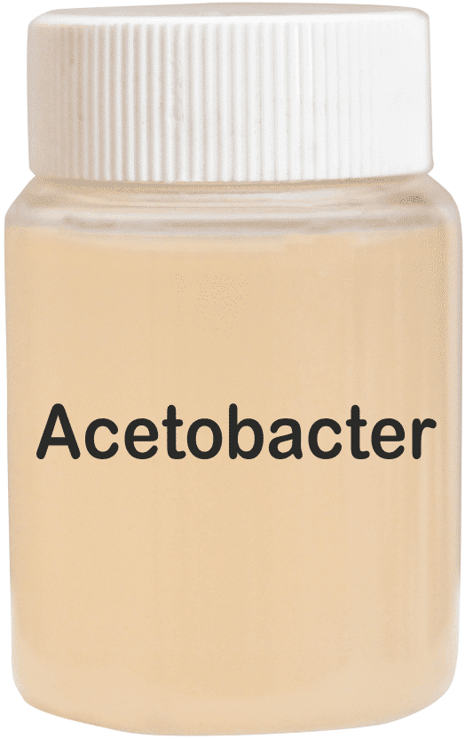 Acetobacter Bio Fertilizer - Application: Agriculture