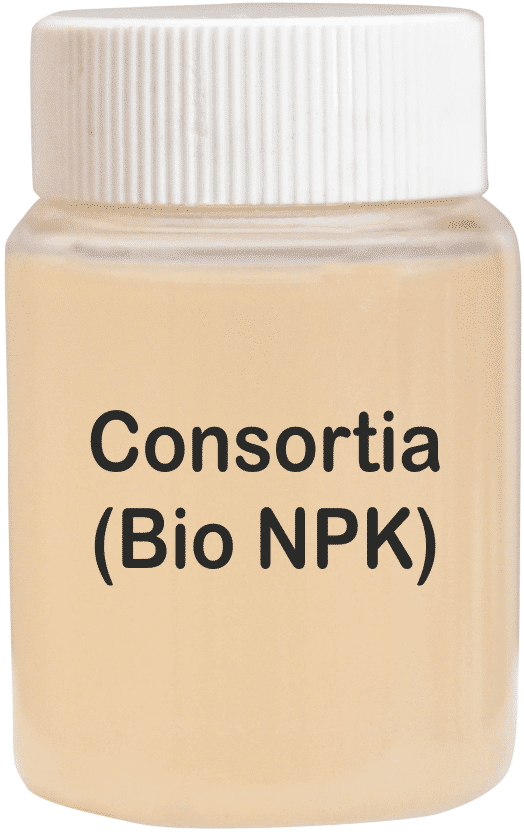 Consortia Bio Npk Fertilizer - Application: Agriculture