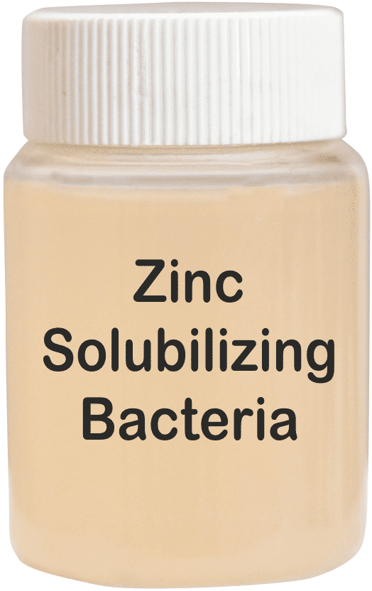 Zinc Solubilizing Bacteria - Liquid Organic Fertilizer | Enhances Plant Growth, Improves Crop Yield, Mobilizes Zinc in Soil