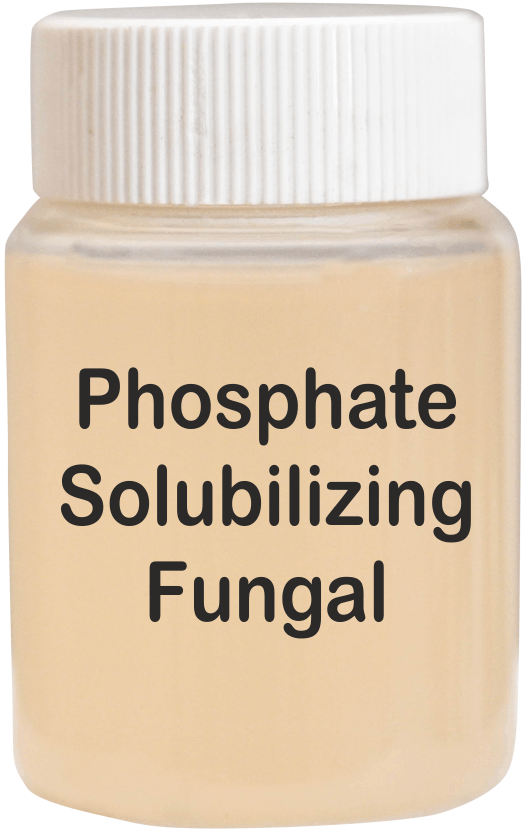 Bio Fertilizer Technical