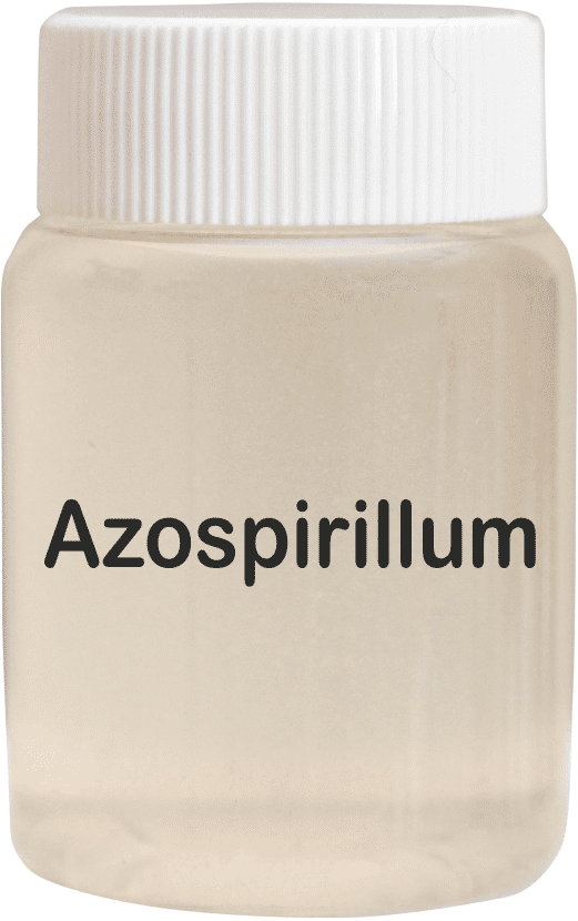 Azospirillum Bio Fertilizer Liquid