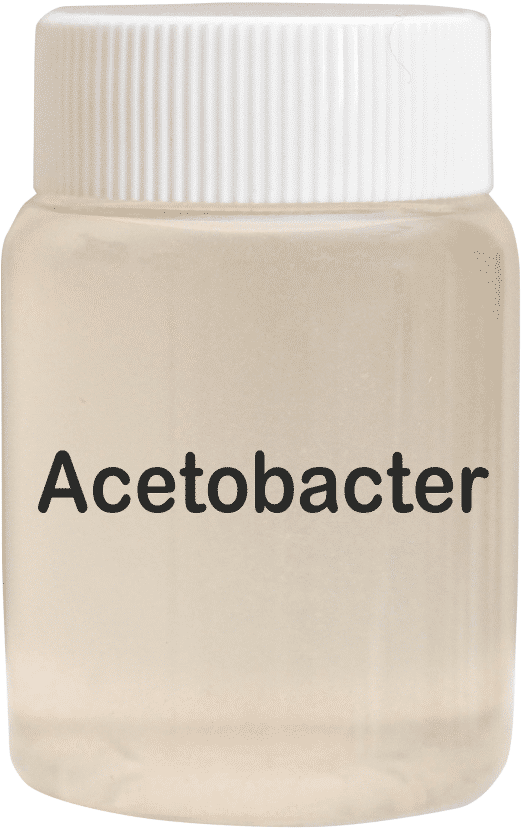 Acetobacter Bio Fertilizer - Application: Agriculture