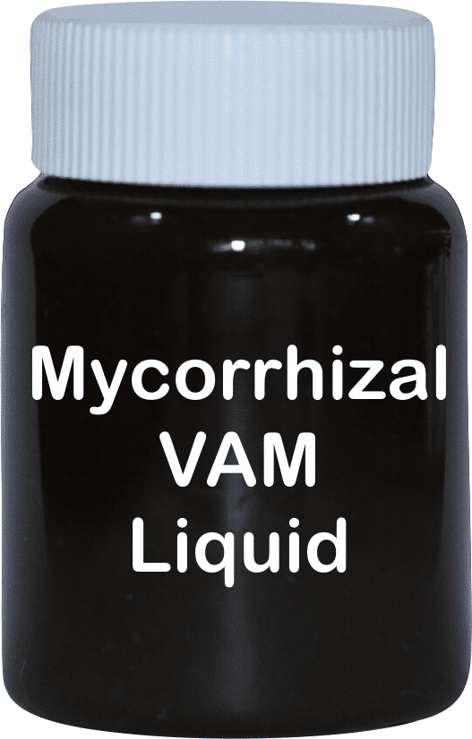 Mycorrhizal (VAM)