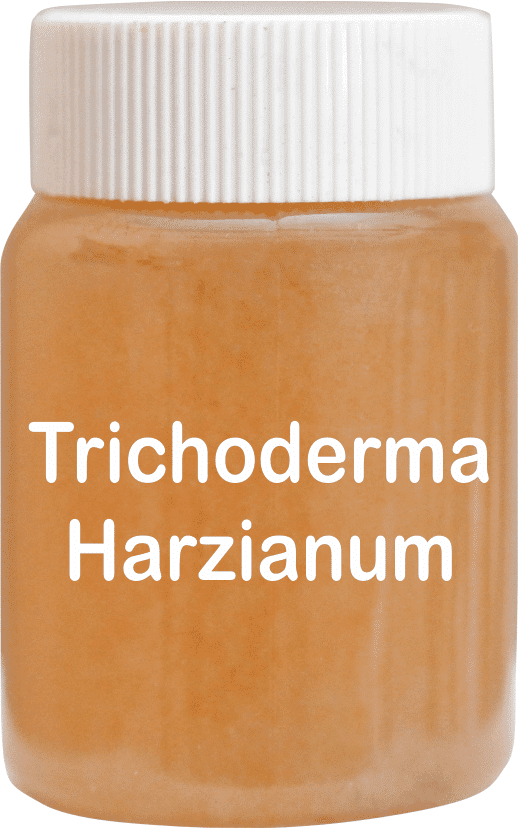 Trichoderma Harzianum Technical