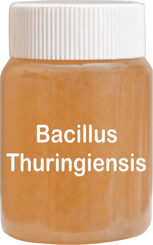 Bacillus Thuringiensis Technical