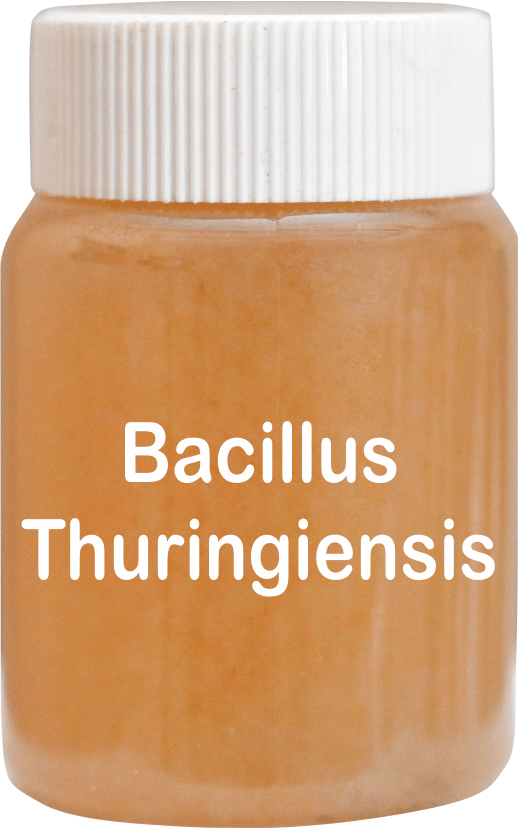 Bacillus Thuringiensis Technical