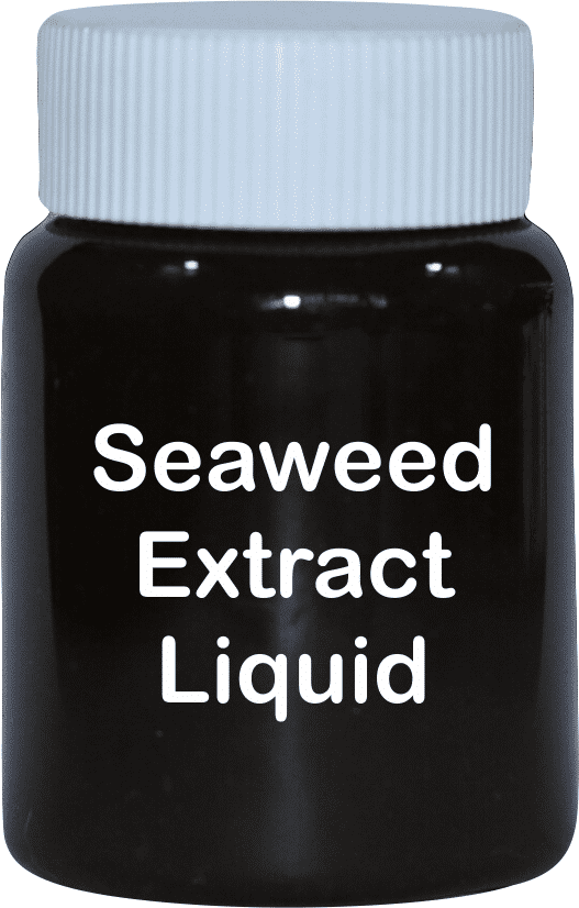 Seaweed Extract