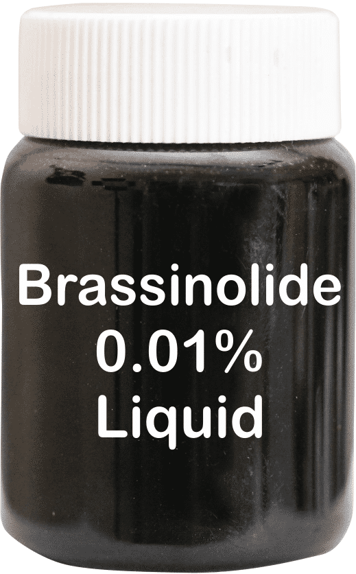 Natural Brassinolide 0.01