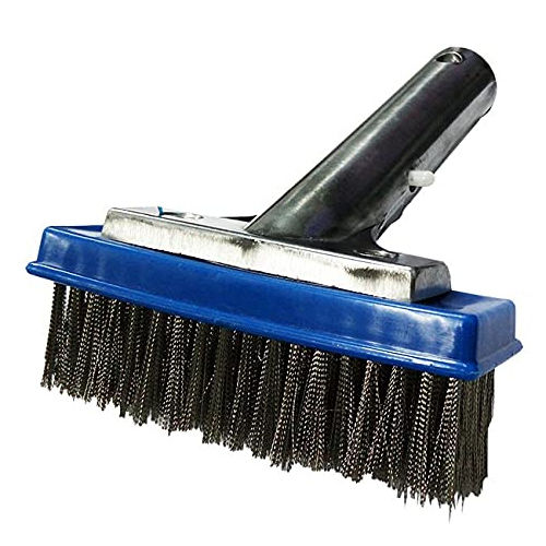 https://cpimg.tistatic.com/08317058/b/4/BlueWave-5-Inch-Aluminum-Algae-Brush-with-Stainless-Steel-Bristles-Cleaning-Brush-For-Wall-Floor-With-Aluminium-Handle-Pack-Of-1-.jpg