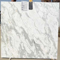 Indian Statuario Marble