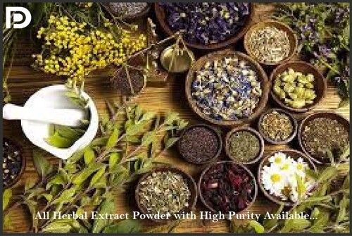 HERBAL EXTRACT POWDER