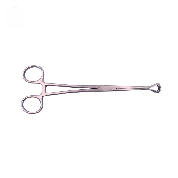 Babcock Forceps 6 Inch High Precision Medical Tool For Tissue Handling And Clamping Durable Ideal For Surgical Veterinary Use (1 Pc) - Color: Silver