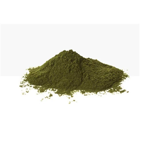 Green Seaweed Extract Powder