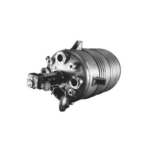 Stainless Steel Reactors
