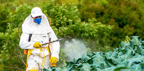 Agriculture Pesticides