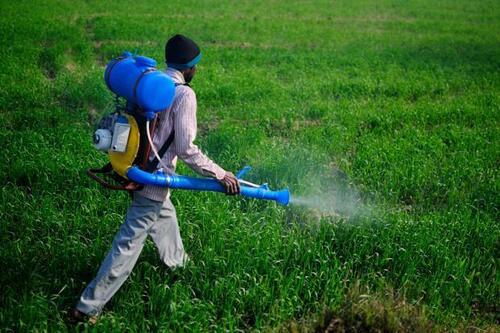 Agriculture Insecticides