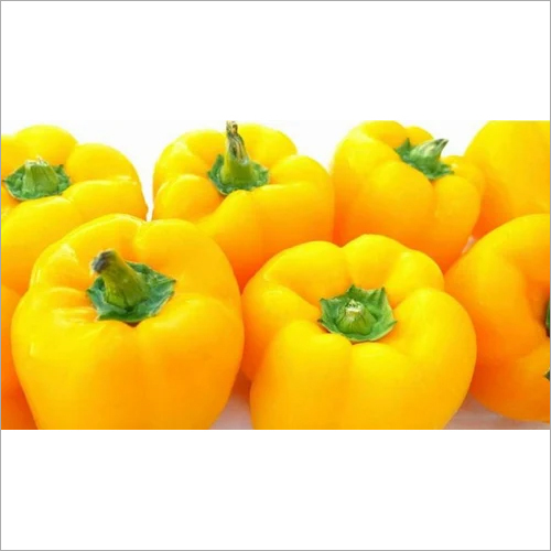 Yellow Capsicum - Raw | Fresh and Vibrant Yellow Color, Ideal for Culinary Use and Versatile Ingredient in Various Dishes