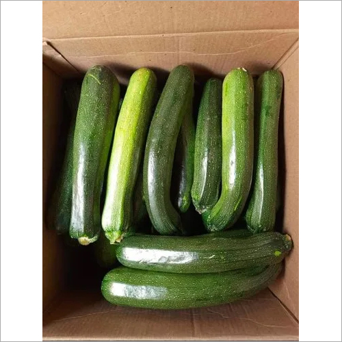 Fresh Zucchini
