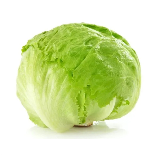 Fresh Lettuce Iceberg - Fresh, Crunchy Texture | Raw, Ideal for Salads and Sandwiches