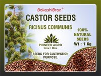 Castor Seeds - 1 Kg Bag | Brown Ricinus Communis, Premium Quality Natural Material
