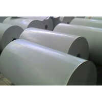 Poultry Manure Belt