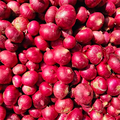 Natural Red Onion