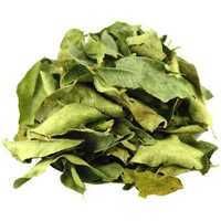 Curry Leaves