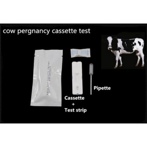 Cow Pregnancy Cassette