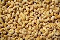 Cashew Nuts - Raw White Dried Cashew Nuts | Superb Quality for Chocolate and Nut Butter Processing