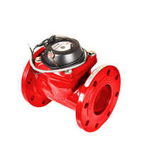 Woltman Hot Water With Pulse Meter