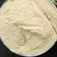 Dehydrated Garlic Powder