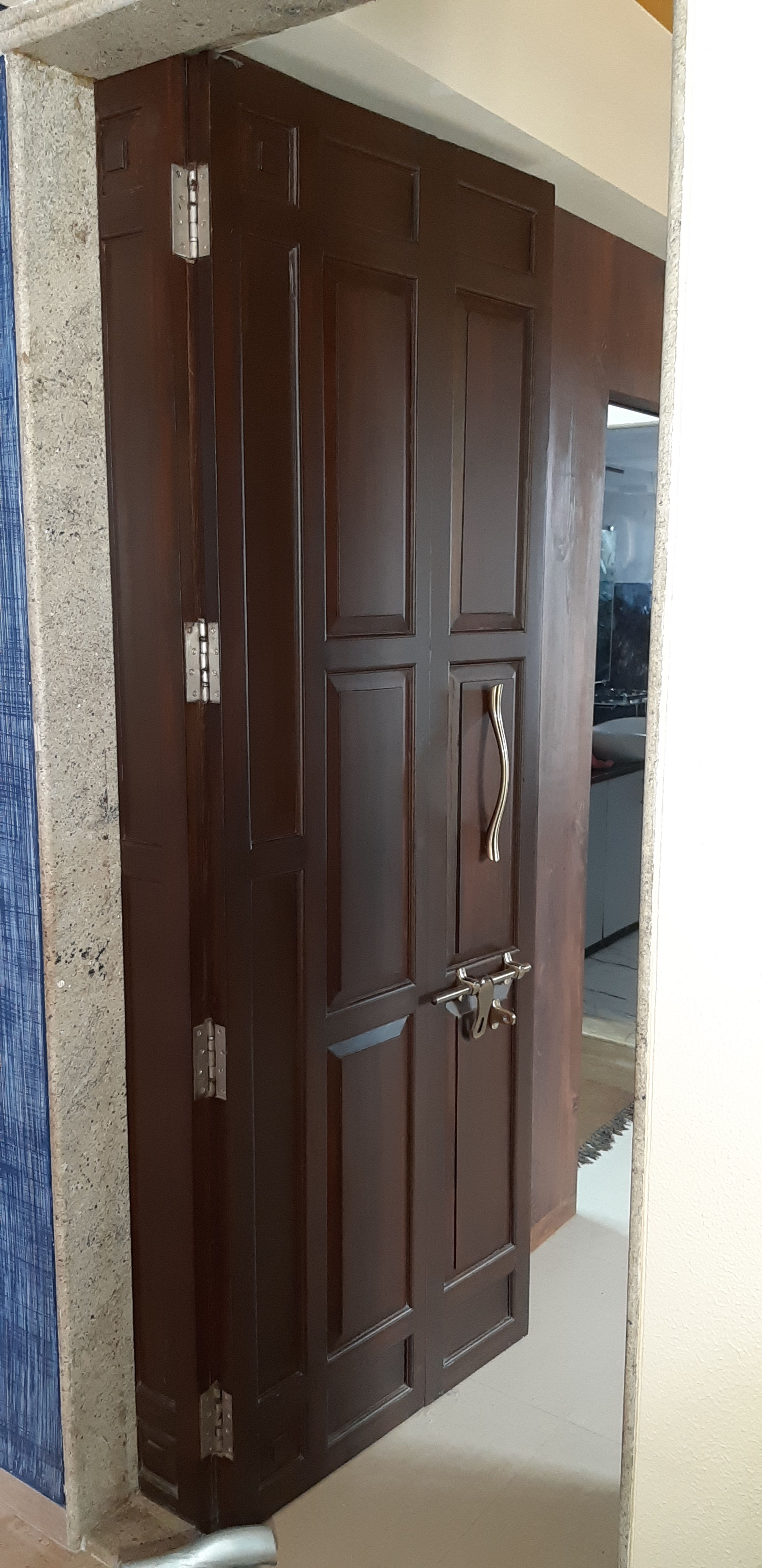 UV Carbon Door Water Resistant Door