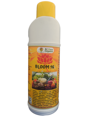 Premium Seaweed extract- Bloom 16