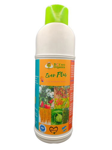 FRUIT SETTING -EVERPLUS