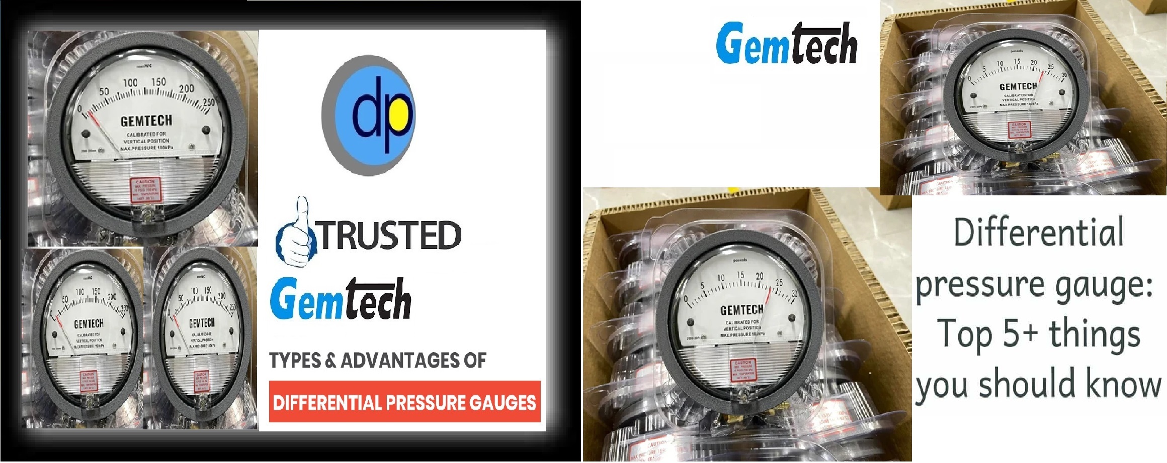 Series G2000 GEMTECH Differential Pressure Gauges from Vadodara Gujarat