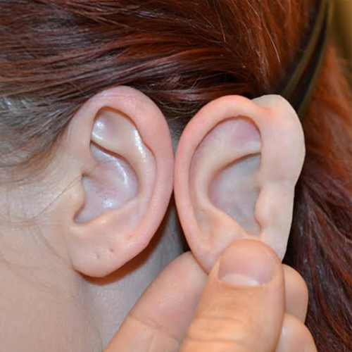 Artificial Ear