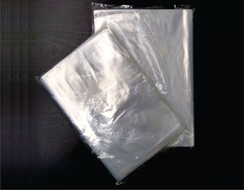 HM Transparent Bag
