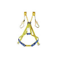 Safety Belt