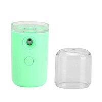 Nano Mist Sprayer Sanitizer Handy Portable Sprayer (1313)