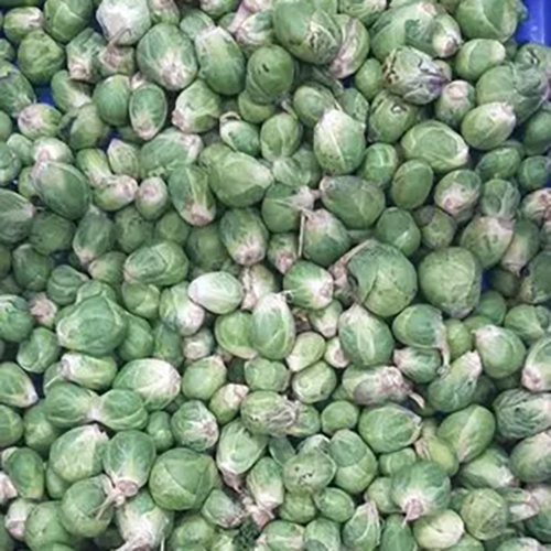 Fresh Brussels Sprout - A Grade 43 kcal Per 91g 3.4g Protein Per 100g 389mg Potassium Per 76g Natural Shape Green Color