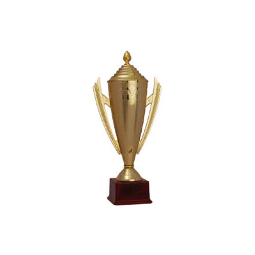 Kabaddi Gold Plated Trophy Metal Cup, Size (Inches): 5-10 inch at