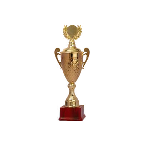 Metal Trophy Cups
