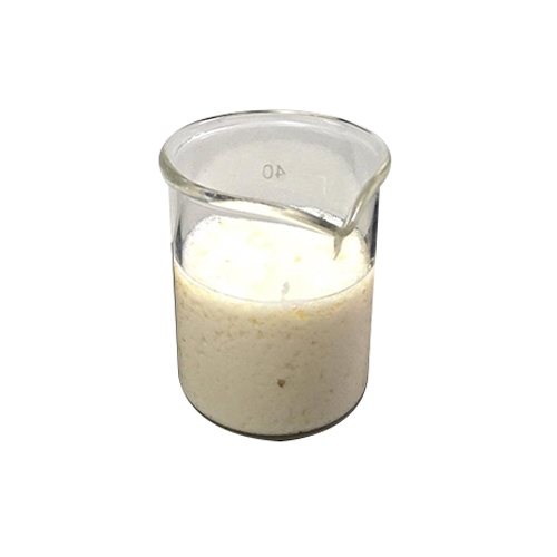 Highly Foaming Emulsifier Paste Anionic