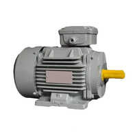 THREE Phase Electric Motor