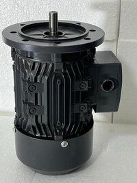 Flange Mounted Electric Motor