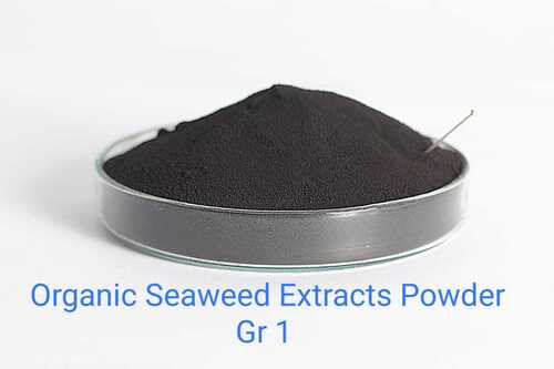 Seaweed Extracts Powder