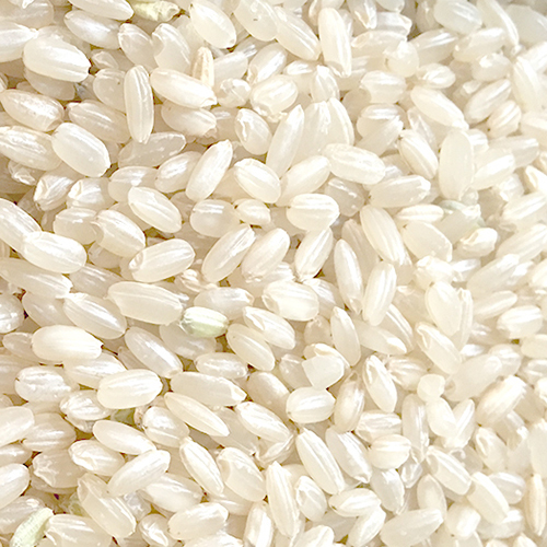 White 5.5 Mm Round Camolino Rice