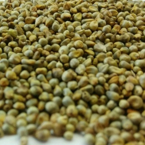 Green Millets Seeds Grade: Premium